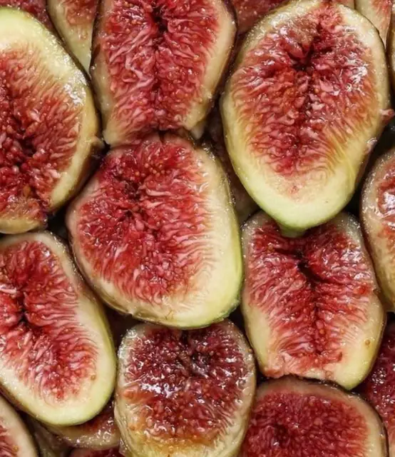 Edible Table, création culinaire de Laurine Dufrenne